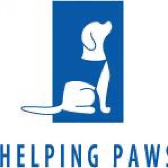 Nonprofit Logo