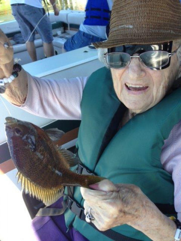 Nonprofit Photo  (132155)