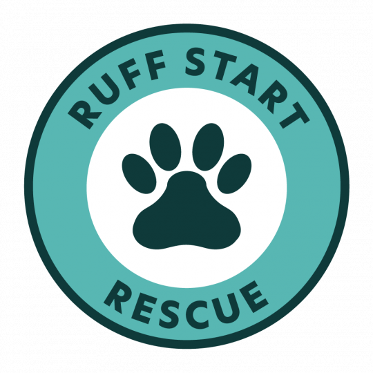 Nonprofit Logo