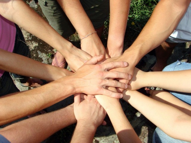 Nonprofit Photo  (83259)