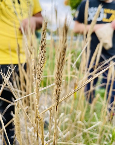 Nonprofit Photo  (200466)