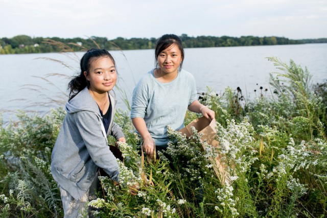 Nonprofit Photo  (105624)