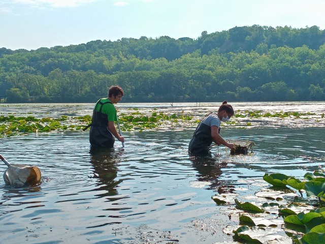 Nonprofit Photo  (200468)