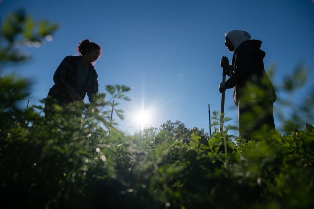 Nonprofit Photo  (200458)