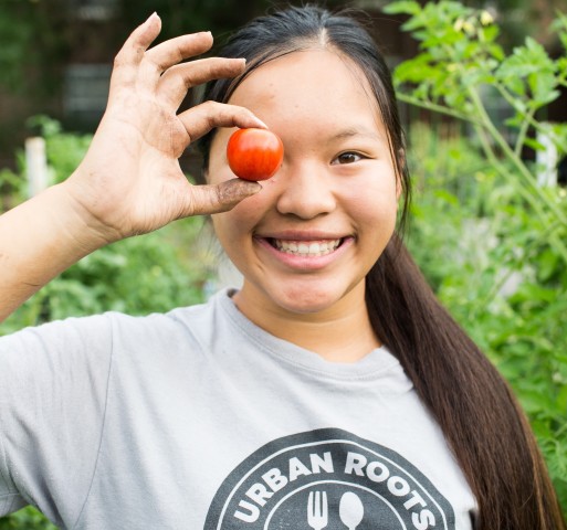 Nonprofit Photo  (200461)