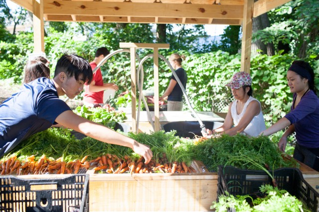 Nonprofit Photo  (105620)