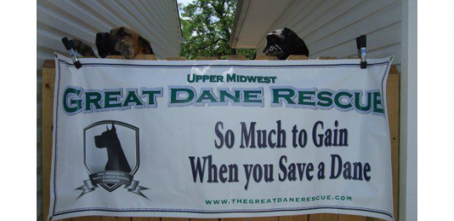 Nonprofit Photo  (100869)