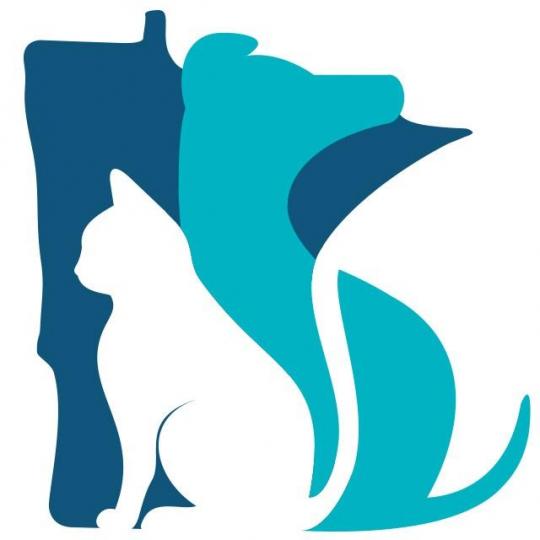 Nonprofit Logo