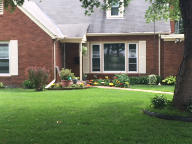 Nonprofit Photo  (115047)