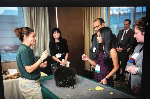 Nonprofit Photo  (113629)