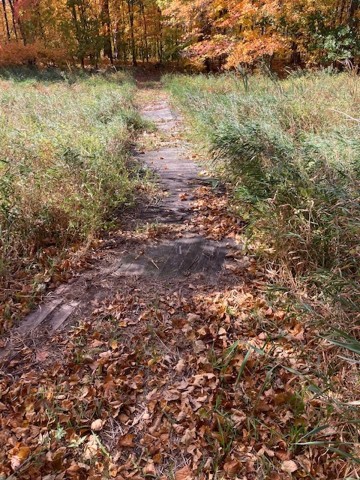 Nonprofit Photo  (202125)