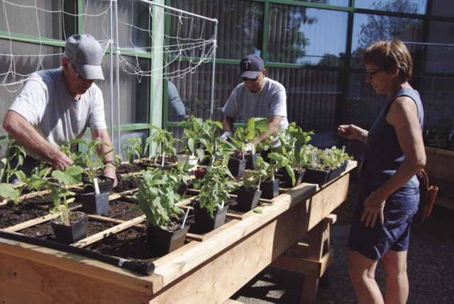 Nonprofit Photo  (126074)