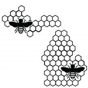 Community Partner Logo