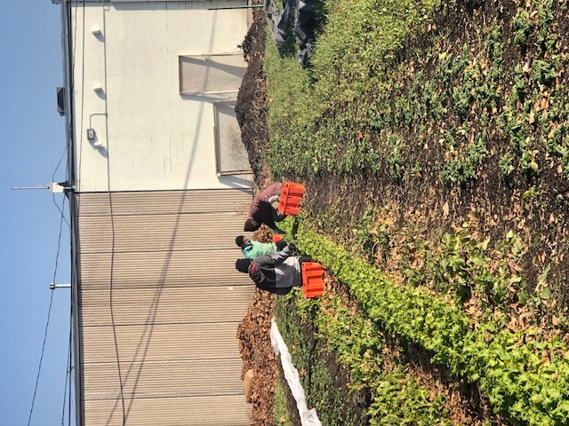 Community Partner Photo  (185113)