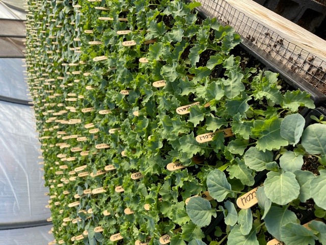 Community Partner Photo  (185114)