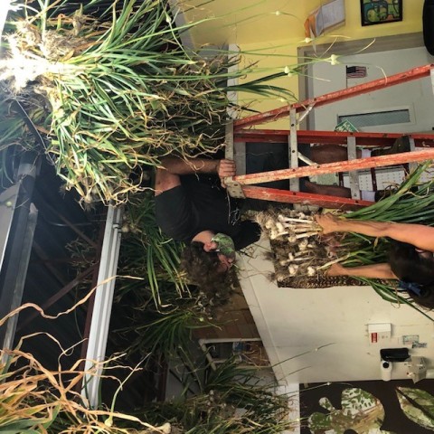 Community Partner Photo  (185112)