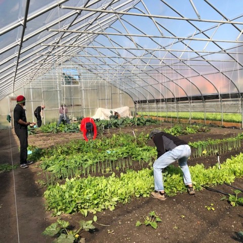 Community Partner Photo  (185111)