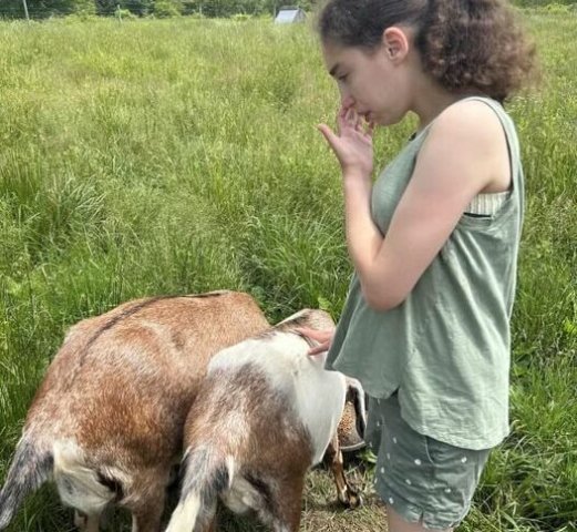 Community Partner Photo  (277419)