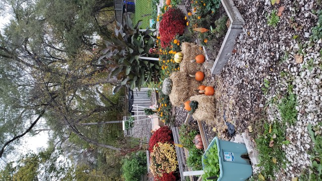 Community Partner Photo  (182703)