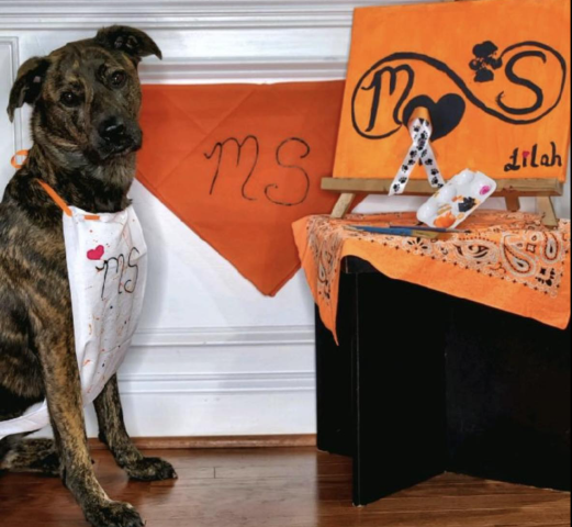 Community Partner Photo  (277450)