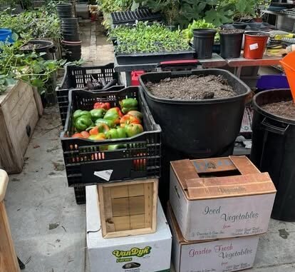 Agency Photo  (277008)