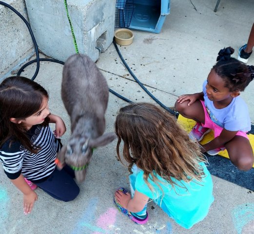 Community Partner Photo  (277597)