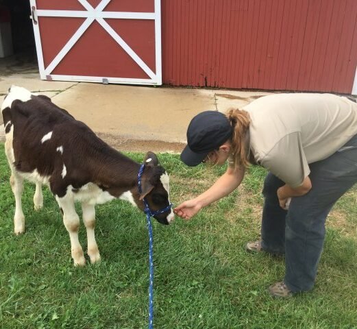 Community Partner Photo  (277596)