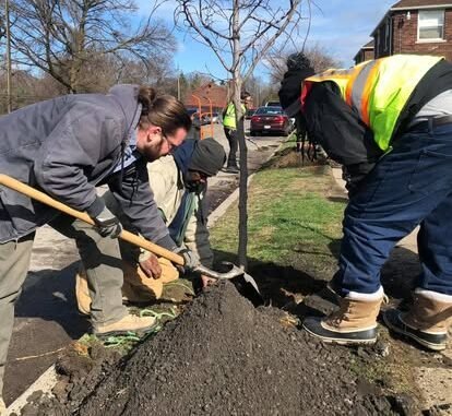 Community Partner Photo  (277237)