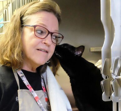 Agency Photo  (277607)