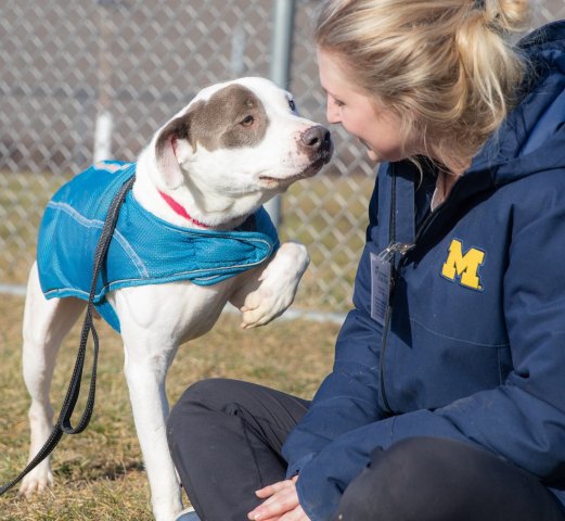 Agency Photo  (277608)