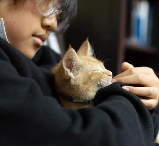 Agency Photo  (277603)