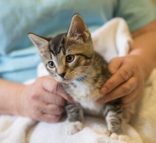 Agency Photo  (277615)