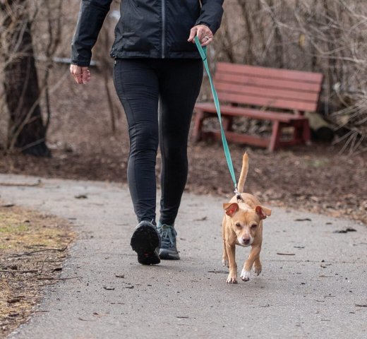 Agency Photo  (277605)