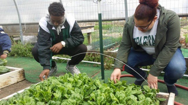 Program Photo  (277341)