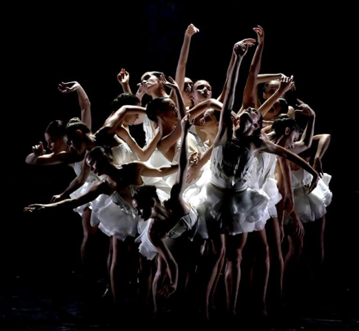 Community Partner Photo  (277527)