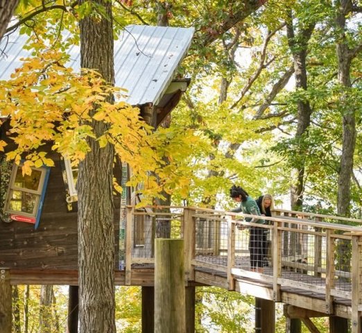 Community Partner Photo  (277990)