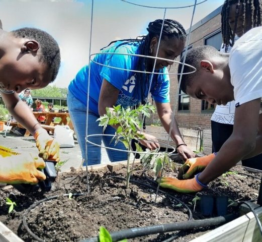 Community Partner Photo  (275929)