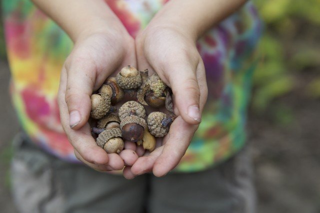 Program Photo  (273366)