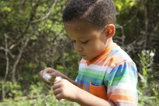 Program Photo  (273368)