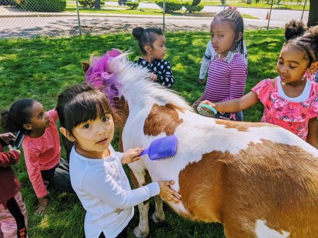 Community Partner Photo  (276025)