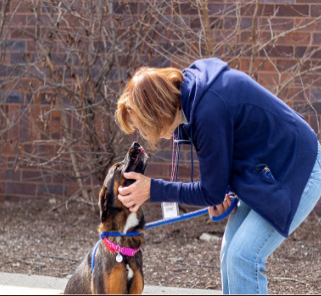 Community Partner Photo  (276212)