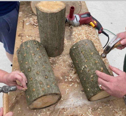 Community Partner Photo  (277860)