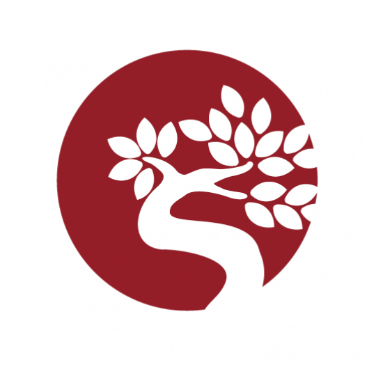 Agency Logo