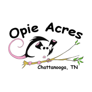Agency Logo