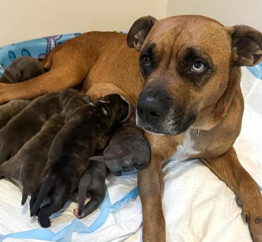 Agency Photo  (265635)