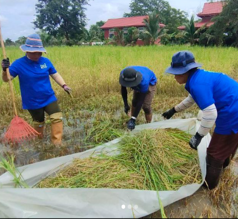 Agency Photo  (271391)