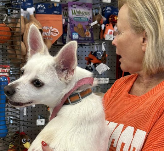 Agency Photo  (265701)