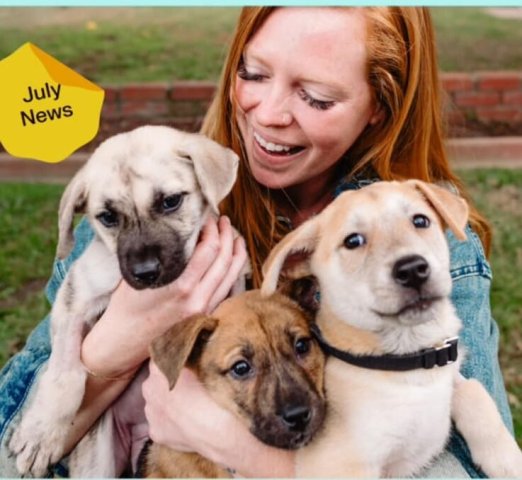 Agency Photo  (265683)