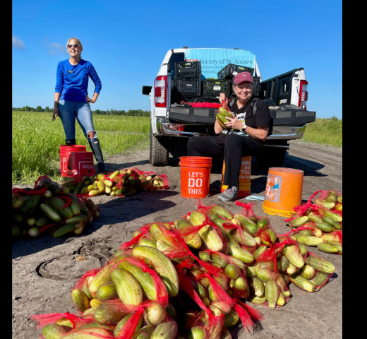 Agency Photo  (263712)