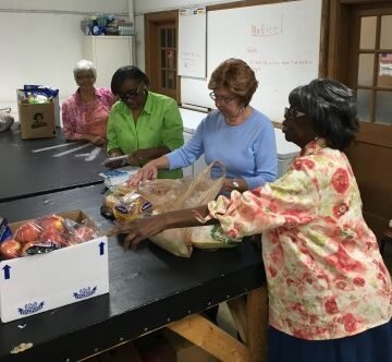 Agency Photo  (263718)